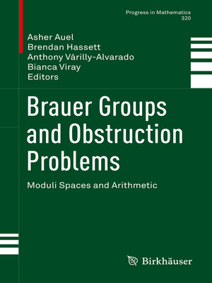 cover image of Brauer Groups and Obstruction Problems